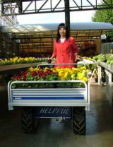 DSCF0584_44986