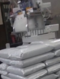 min Pallettizzatore con pinza a rastrello