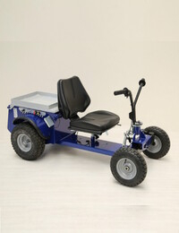 Veicolo elettrico JAY800